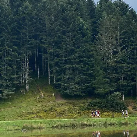 Maisange - 2 - Avec Piscine
