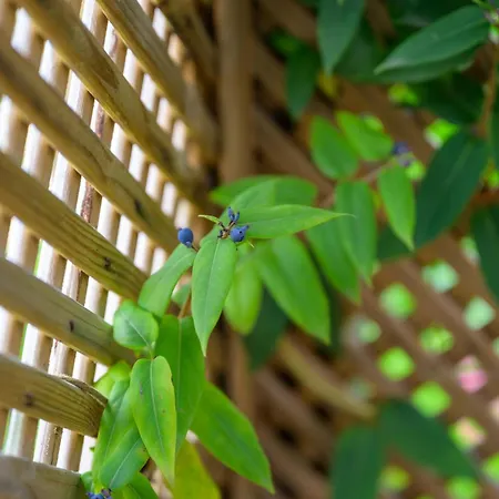 Maisange - 2 - Avec Piscine Сasa de vacaciones